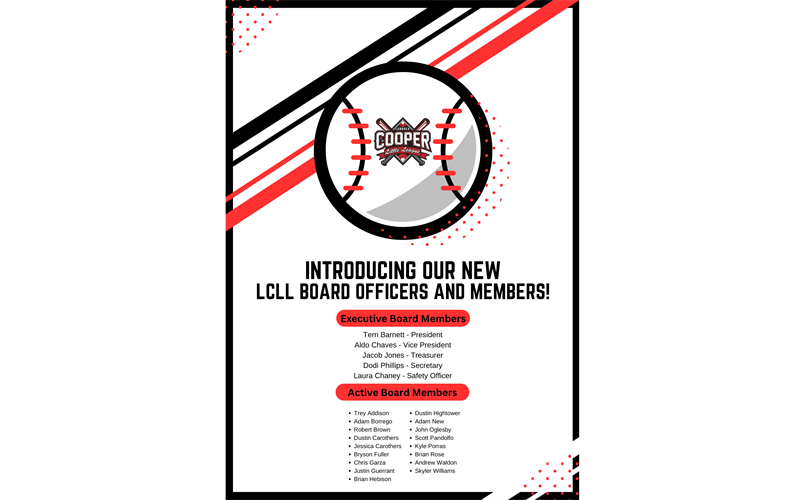 New 2025 LCLL Board of Directors!